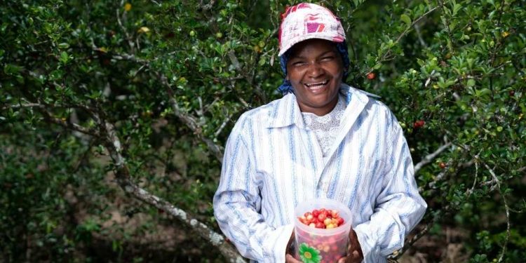 Fulgencia Torres: Cerezas fruto de la perseverancia