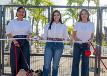 The Paw Zone: El primer parque canino de Playa Nueva Romana