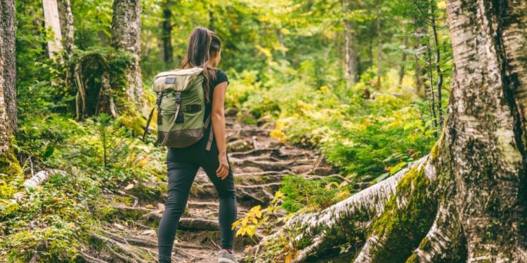 Desconectar para avanzar: El poder del senderismo en la vida de la mujer